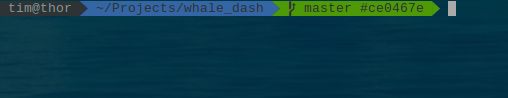 ZSH with hash commit