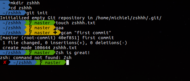 zsh on command line