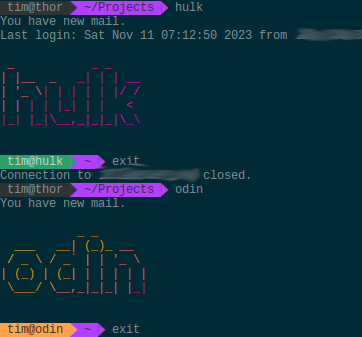 zsh color host