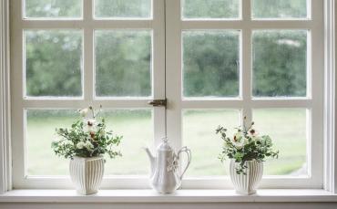Pixabay: window white, window, glass