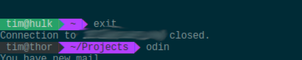 zsh color host